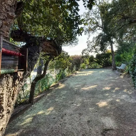 Avec Piscine A 100 M De La Apartman